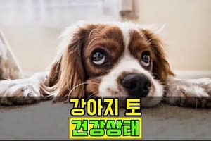 강아지-토-thumbnail